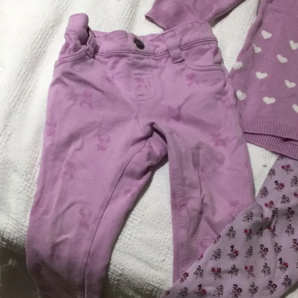 Lavander Fox sweater leggings bundle 18-24…